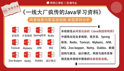 《Java葵花宝典》与档案服务外包 技术沉淀与业务拓展的双赢之道