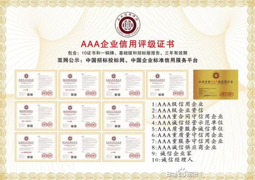 专业服务集成 AAA信用评级、国际认证咨询与档案外包解决方案